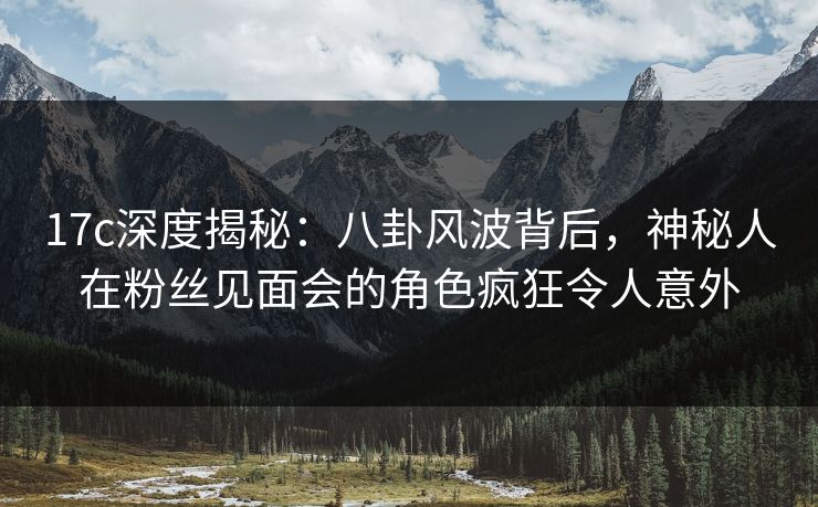 17c深度揭秘：八卦风波背后，神秘人在粉丝见面会的角色疯狂令人意外