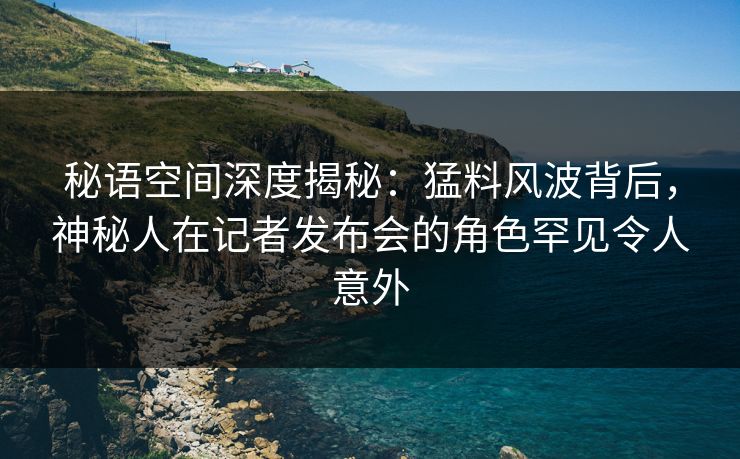 秘语空间深度揭秘：猛料风波背后，神秘人在记者发布会的角色罕见令人意外