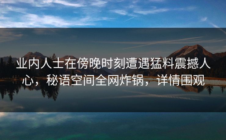 业内人士在傍晚时刻遭遇猛料震撼人心，秘语空间全网炸锅，详情围观
