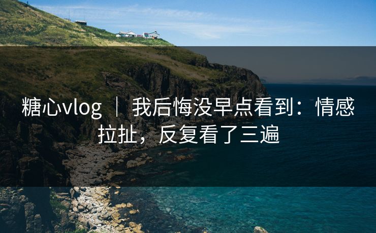糖心vlog ｜ 我后悔没早点看到：情感拉扯，反复看了三遍